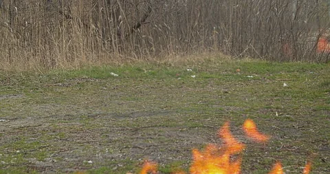 Fire in the background of the forest Stock Footage 130603268