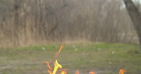 Fire in the background of the forest Video stock 130604275
