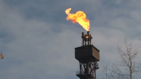 Fire in the background of sky and tree Stock Footage 61727309