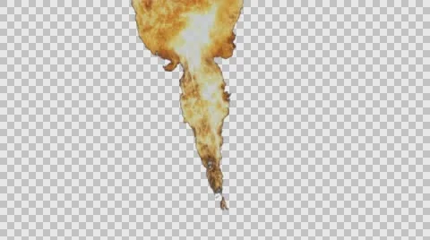 Fire background transparent Stock Footage 62678501