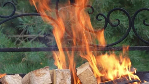 Fire in a backyard grill Stock Footage 312315651