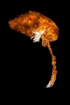 Fire ball explosion from bottom to top Stock Photos