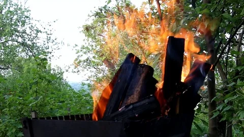 A fire for a barbecue on a background of trees Stock Footage 93276389