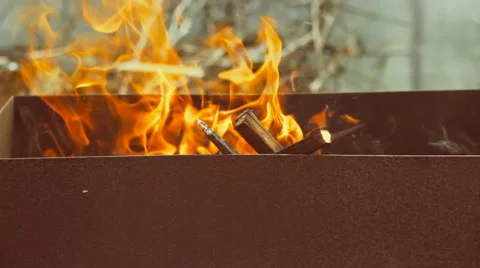 Fire for barbecue Stock Footage 51750061