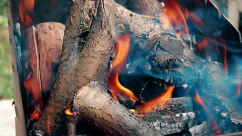 Fire for barbecue Stock Footage 93105047