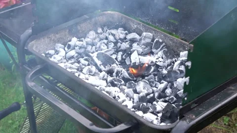 Fire on a barbecue Stock Footage 283488600
