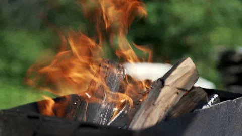 Fire in the barbecue in nature Stock Footage 204814892