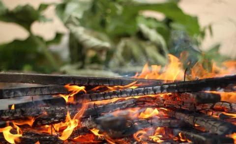 Fire on a barbecue Stock Photos