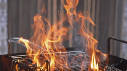 Fire On a Barbecueue Stock Footage 97638033
