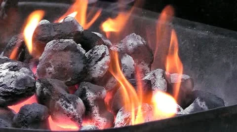 Fire barbeque Stock Footage 11238955