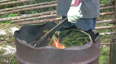 Fire in a barrel 動画素材 488342