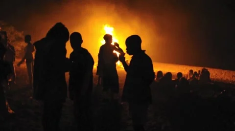 Fire Beach party Stock Footage 7901310