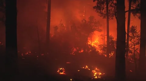 Fire being blown on ground by wind at night Stock Footage 40954000