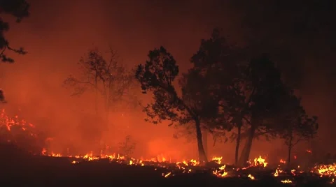 Fire being blown on ground by wind at night Stock Footage 40954235