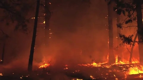 Fire being blown on ground by wind at night Stock Footage 40954356