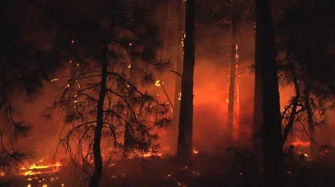 Fire being blown on ground by wind at night Stock Footage 40954391