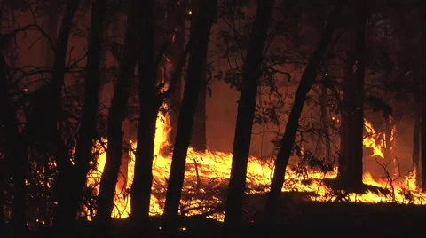 Fire being blown on ground by wind at night Stock Footage 40954524