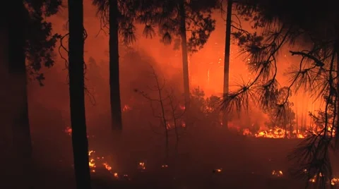 Fire being blown on ground by wind at night Stock Footage 40955262
