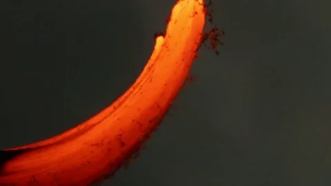 Fire Bends Glowing Match Stick Stock Footage 74517498