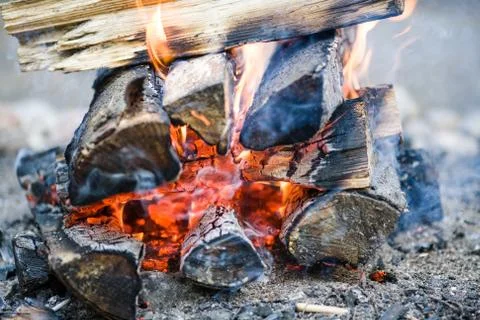 A fire of birch logs Stock Photos