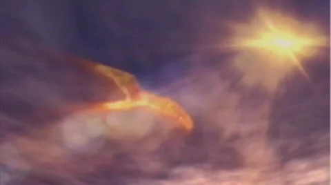 Fire-bird Stock Footage 671642