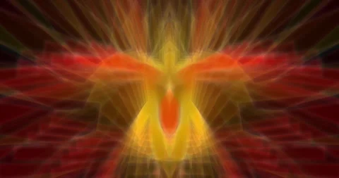 A fire bird Stock Footage 242587202