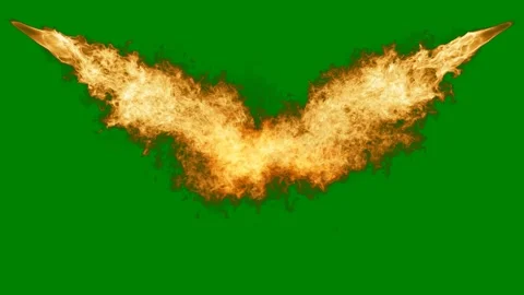 Fire bird green background bat wings green screen animated chromakey background Stock Footage 314064519