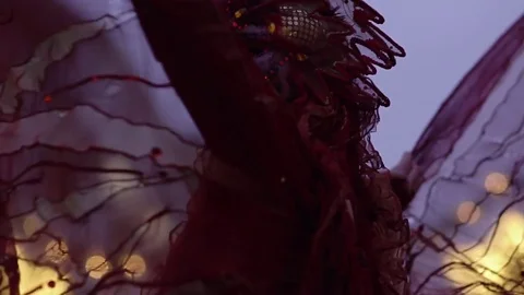 Fire Bird Street Performance Stock Footage 78007342