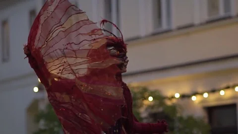 Fire Bird Street Performance Stock Footage 78007549