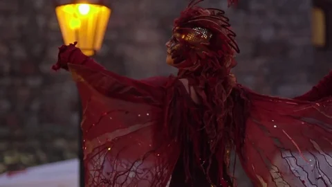 Fire Bird Street Performance Stock Footage 78008232