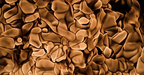 Fire On A Black Background 4 Stock Footage 159002019