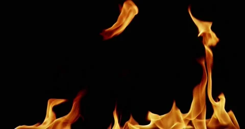 Fire Black Background 4K Stock-Footage 231545268