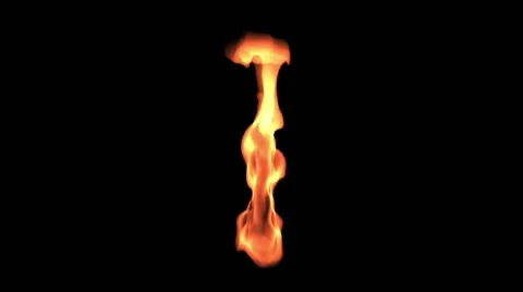Fire on black background Video stock 7502941