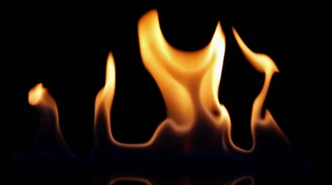 Fire on black background Stock Footage 44356152