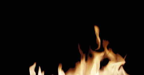 Fire on black background Stock Footage 51966199