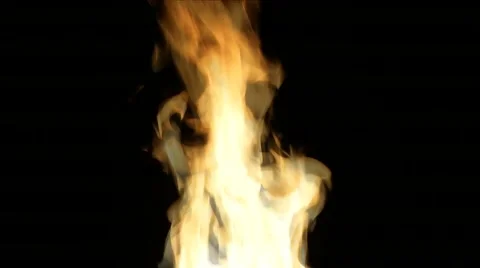 Fire on a black background Stock Footage 59131123