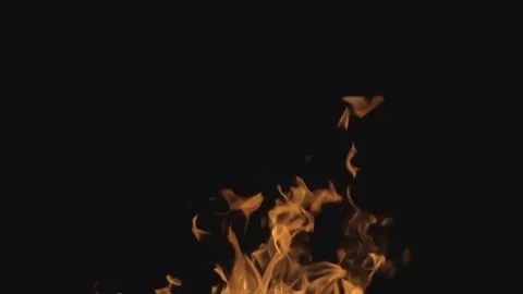 Fire on black background Stock Footage 78868599