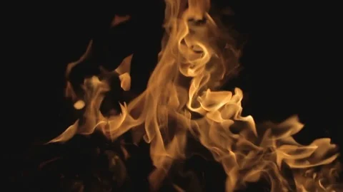 Fire on black background Stock Footage 78871607
