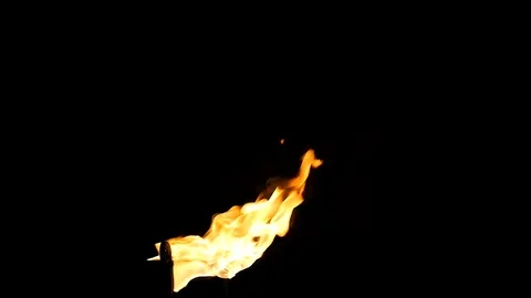 Fire on black background Stock Footage 81076934