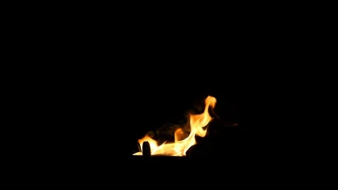 Fire on black background Stock Footage 81076979