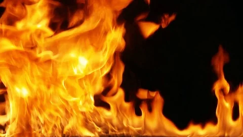 Fire on the black background Stock Footage 84841142