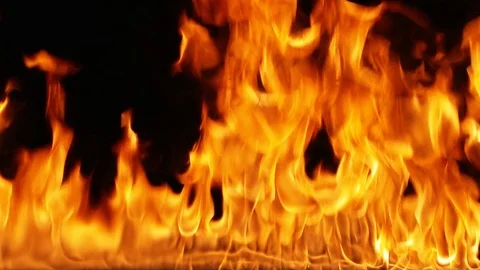 Fire on the black background Stock Footage 84841159