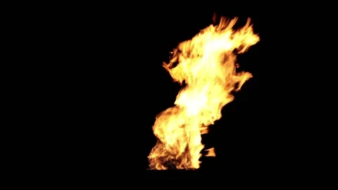 Fire on a black background. Stock Footage 90088918
