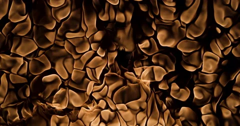 Fire On A Black Background Stock Footage 159001354