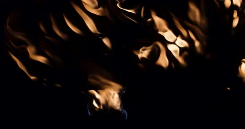 Fire On A Black Background Stock Footage 159003044
