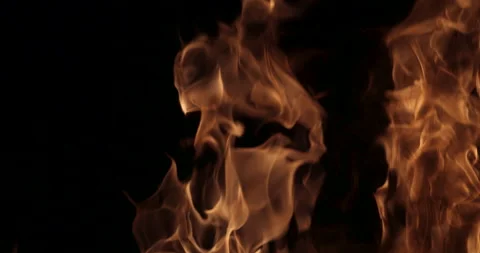 Fire On A Black Background Stock Footage 161369476