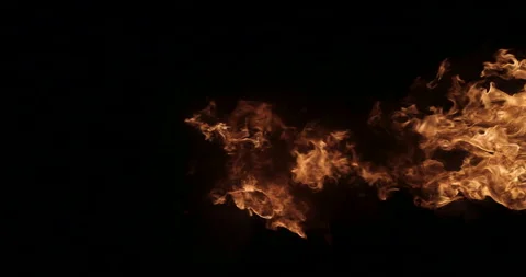 Fire On A Black Background Stock Footage 161409721
