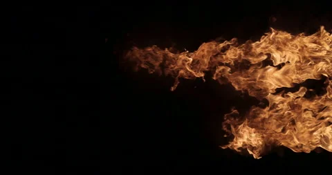 Fire On A Black Background Stock Footage 161412106