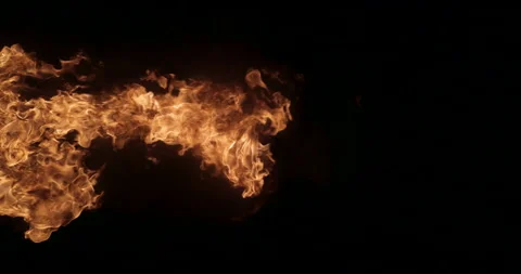 Fire On A Black Background Stock Footage 161414868