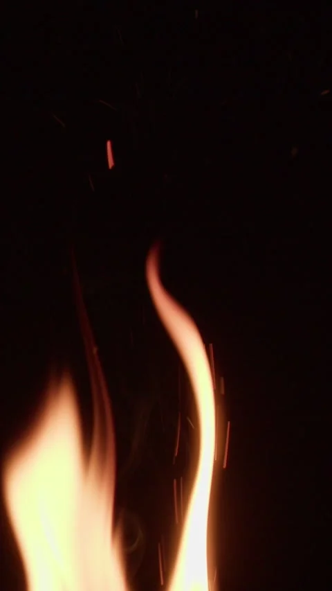 Fire on a black background Stock Footage 237883682